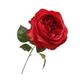 thumbnail image 4 of Ramo de rosas artificiales para centro de mesa, rosa realista hidratante Rojo, 4 of 9
