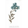 thumbnail image 2 of Wild Apple Portfolio 12x18 White Modern Wood Framed Museum Art Print Titled - Conversations on Botany VI on White with Blue, 2 of 4