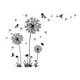 thumbnail image 1 of Pegatinas de pared de mariposas, ideales para decorar dormitorios de niñas, arte de pared para dormitorio, no tóxicas, sin olores, pegatinas de pared extraíbles para su espacio creativo, 1 of 6
