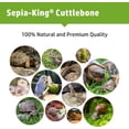 thumbnail image 3 of Sepia King – Cuttlebone for Birds, Tortoises, Snails, Reptiles – Premium Cuttlefish Bones 100% Natural, 3 of 5