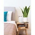 thumbnail image 4 of Planta de serpiente artificial con maceta de cerámica blanca Sansevieria Planta de serpiente falsa Planta de vegetación en maceta para hogar, oficina, sala de estar, decoración, 4 of 4