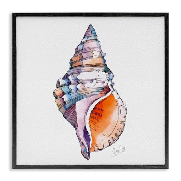 Stupell Industries Sunrise Conch Shell Black Framed Giclee Art, design by Shelly Craig