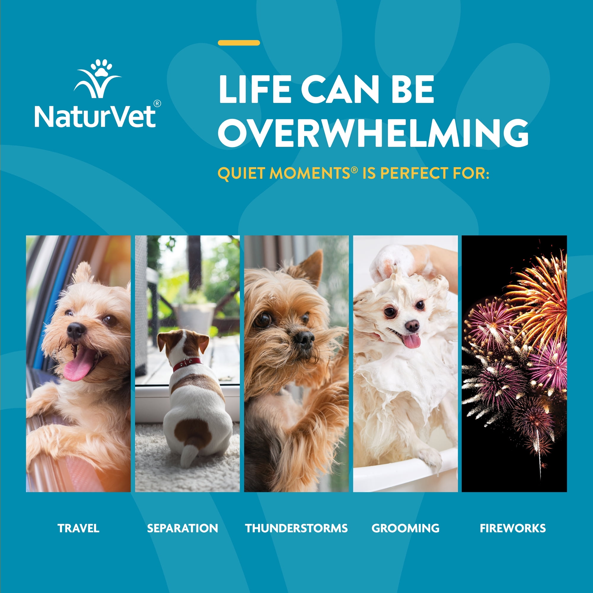 NaturVet Scoopables Quiet Moments Calming Aid Dog Supplements