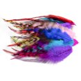 thumbnail image 3 of Plumas de pollo teñidas de 10 a 15 cm, plumas de faisán naturales para fiestas, manualidades, joyería, plumas, decoración, mayorista, 3 of 5
