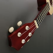 Likegreen 21 Inch Ukulele Beginning Kit for Beginner Kids Students with Accessories