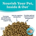 thumbnail image 4 of Solid Gold Love at First Bark Grain Free Dry Puppy Food, Chicken, 4 lb. (Dog), 4 of 7