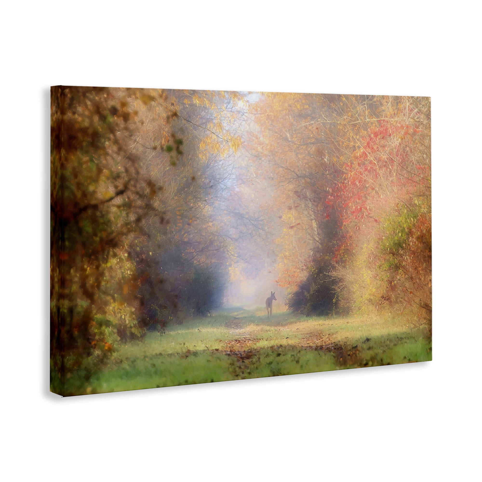 Stupell Industries Foggy Autumnal Forest Landscape & Nature Photography Wrapped Canvas Art Print Wall Art, 30 x 20