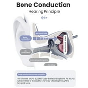 Bone Conduction Sound Amplifier - Listen to Nature and Regain Clarity