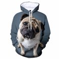 thumbnail image 3 of Sudadera con capucha con estampado 3D de perro Pug feo y divertido para hombre, sudaderas casuales de manga larga, sudaderas con capucha de cuello redondo, abrigos de otoño, 3 of 5