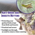 thumbnail image 4 of Langgg Garden Bug Insects Netting Reusable Breathable Barrier Pest Net Plant Vegetable Fruit Seedling Protector Mesh for Farm 2x5M, 4 of 9
