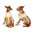 thumbnail image 3 of Welcome Fall Abyssinian Enjoys School Time Autumn Fall Leaves Hawaiian Summer Shirt for Small Medium Large Dog Cat Cat Lover Kitten Owner Gifts - 02013, 3 of 6