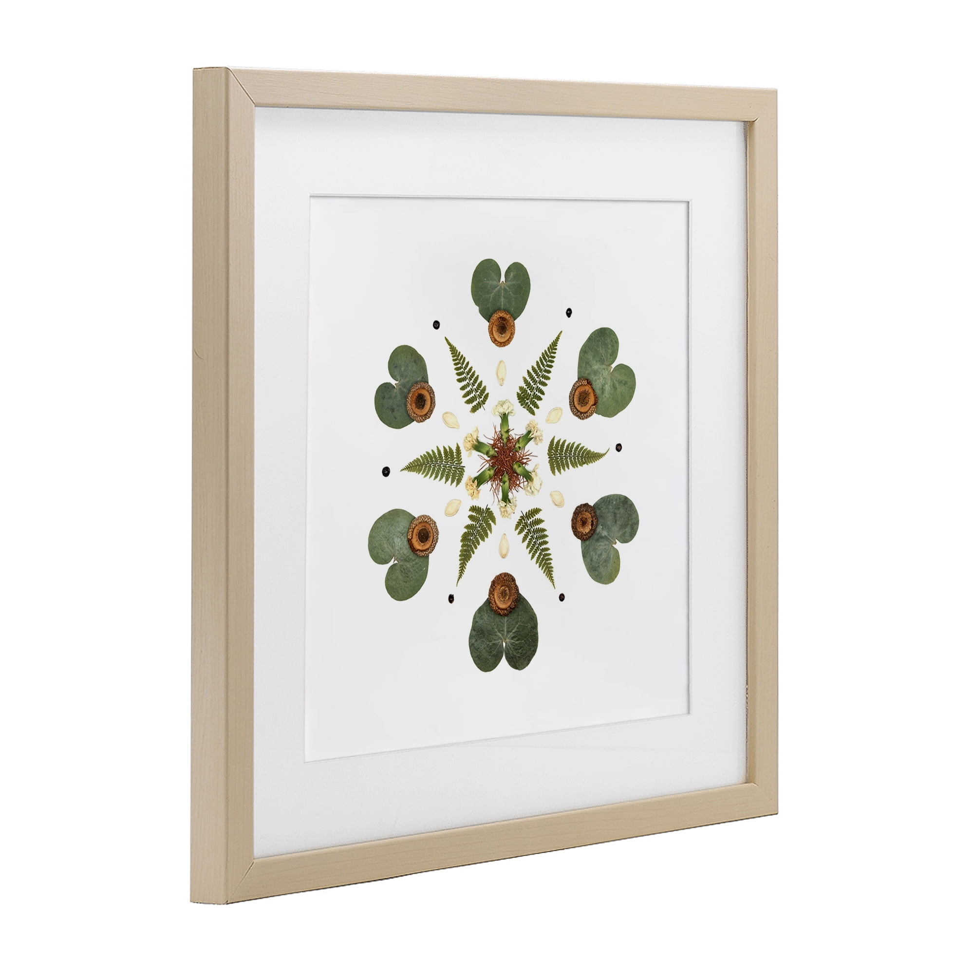 Stupell Industries Lily Pad & Fern Mandala Birch Framed Print Under Glass, design by Beth Adoette