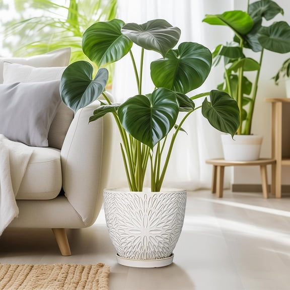 G EPGardening 10 Inch Ceramic Planter Pot with Drainage Hole and Saucer - White