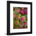 thumbnail image 1 of Rambutan for Sale at or Tor Kor Market, Framed Art Print Wall Art by Austin Bush Sold by Art.Com, 1 of 5