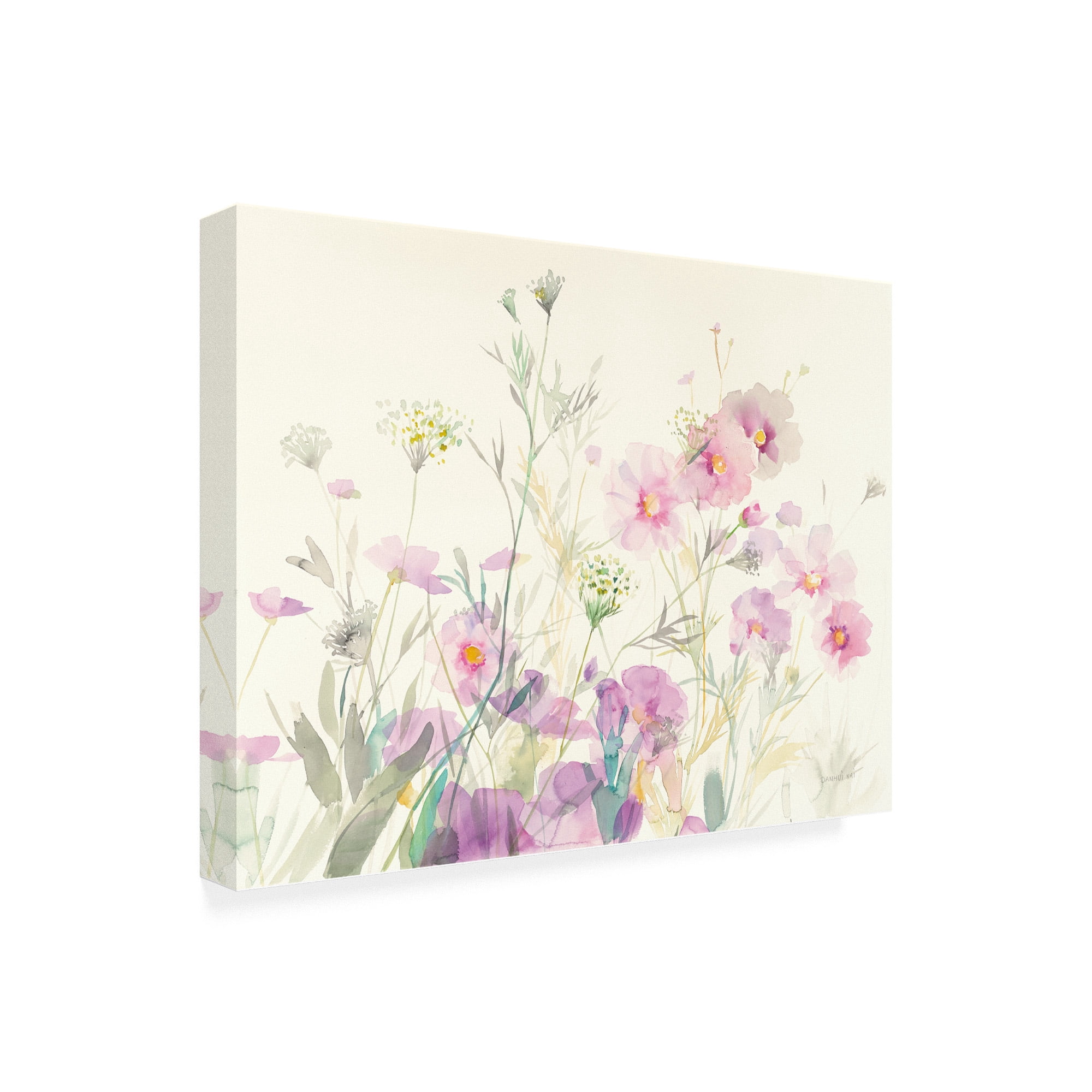 Trademark Fine Art 'Queen Annes Lace and Cosmos Painting' Canvas Art by Danhui Nai