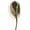 Brown, variant on Vickerman 12" Jumbo Aspen Gold Banksia Flower with Stem, Natural Preserved Dried Plant for Wedding Bouquets Home Decor or Everyday Arrangements 3 Per Pack
