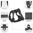 thumbnail image 6 of Salouo Cool Sports Car for Dog Harness, No-Pull Pet Harness Adjustable Dog Vest No-Choke Reflective Pet Vest for Small, Medium & Large Dogs for Training & Walking-Large, 6 of 6