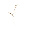 thumbnail image 2 of JeashCHAT Artificial Fall Bittersweet Flower Branches, Faux Orange Yellow Berry Flower Stems for Vase Table Thanksgiving Home Decor, 1 Pc, 2 of 6