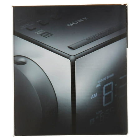 Sony - AM/FM Dual-Alarm Clock Radio - Black/Silver