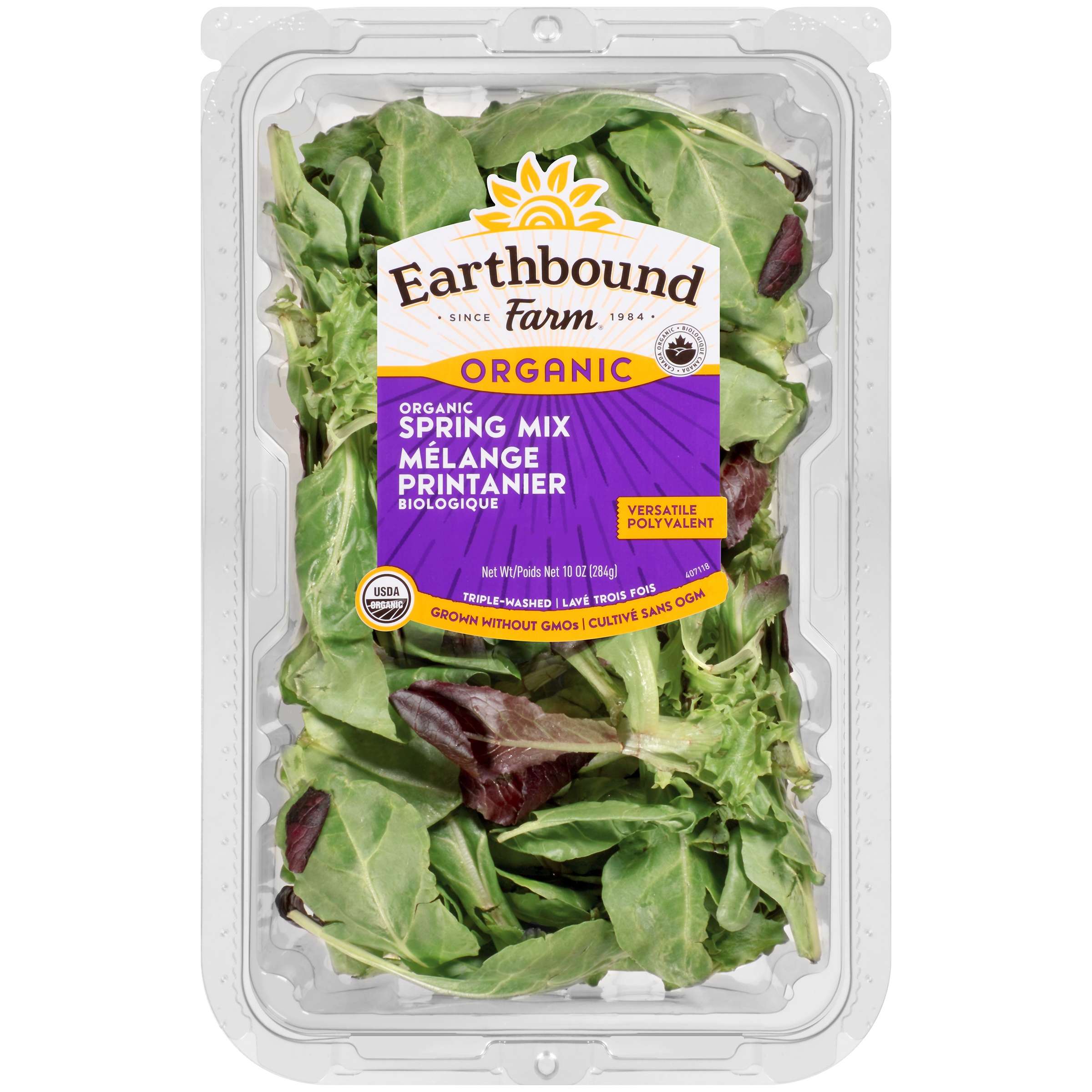 Earthbound Farm® Organic Spring Mix 10 oz. Container
