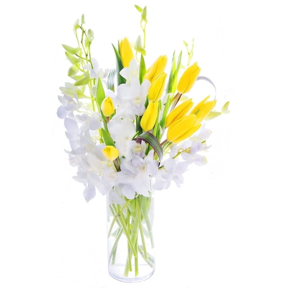 KaBloom : 10 Yellow Tulips, 10 White Dendrobium Orchids, 6 Greens in with vase Next-Day Delivery.