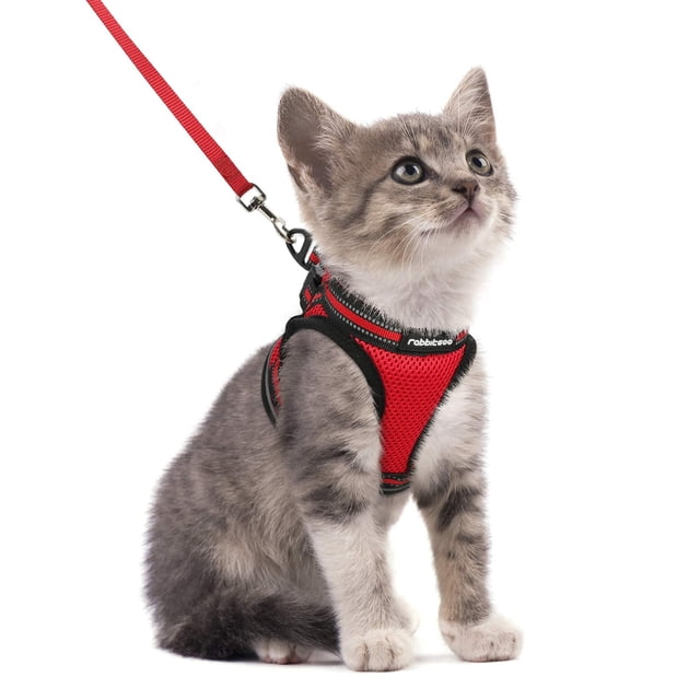 Set de arnés y correa para gatos Rabbitgoo Walking Escape Proof, rojo