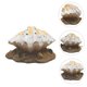 thumbnail image 5 of unbranded 1Ud De Concha Para Acuario En Resina Con De, 5 of 8