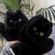 thumbnail image 5 of CaiYueKe Black Cat Plush Warm Gloves - Windproof Thermal Gloves with Faux Fur Lining for Cycling Driving Touchscreen, Cold Weather Handwear Outdoor Sports for Men Women, 5 of 8