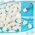 thumbnail image 4 of 78pcs 7 Styles Shell Pendants 12~37mm Scallop Seashell Undyed Beach Seashells Charms Natural Summer Sea Shell Pendants for Bracelets Earrings Jewelry s Making No Hole/Undrilled, 4 of 6