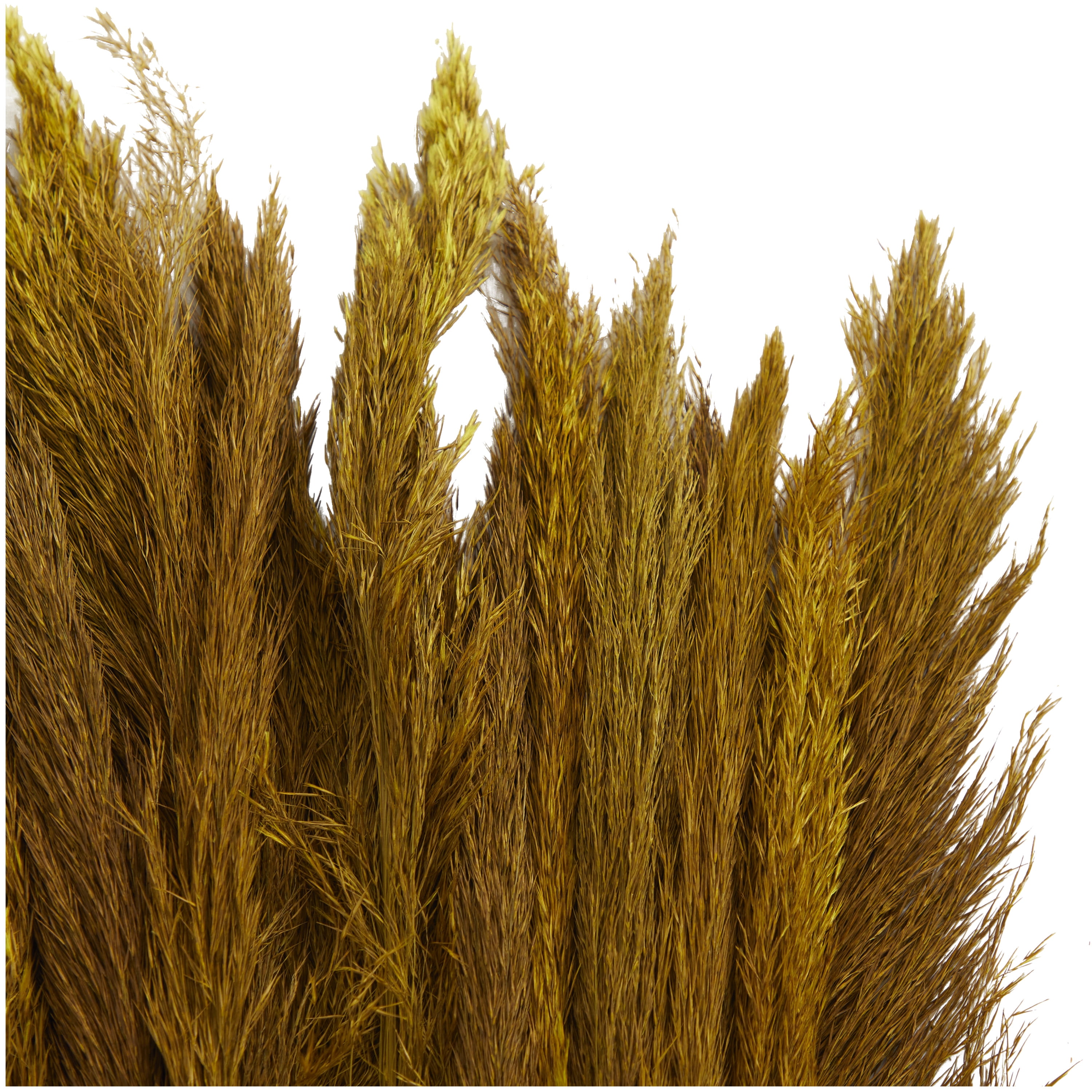35" Dried Plant Natural Foliage Pampas Bouquet with Long Stems, by DecMode