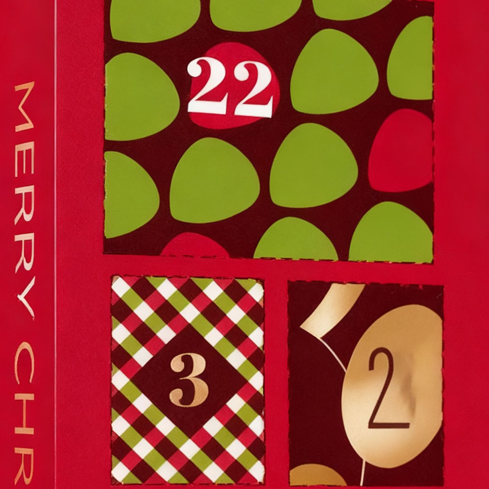 Guitar Pick Blind Box Christmas Advent Calendar 2025 Guitar Player Christmas Countdown Calendar with 22 Picks and Pick Holder Bass Ukulele