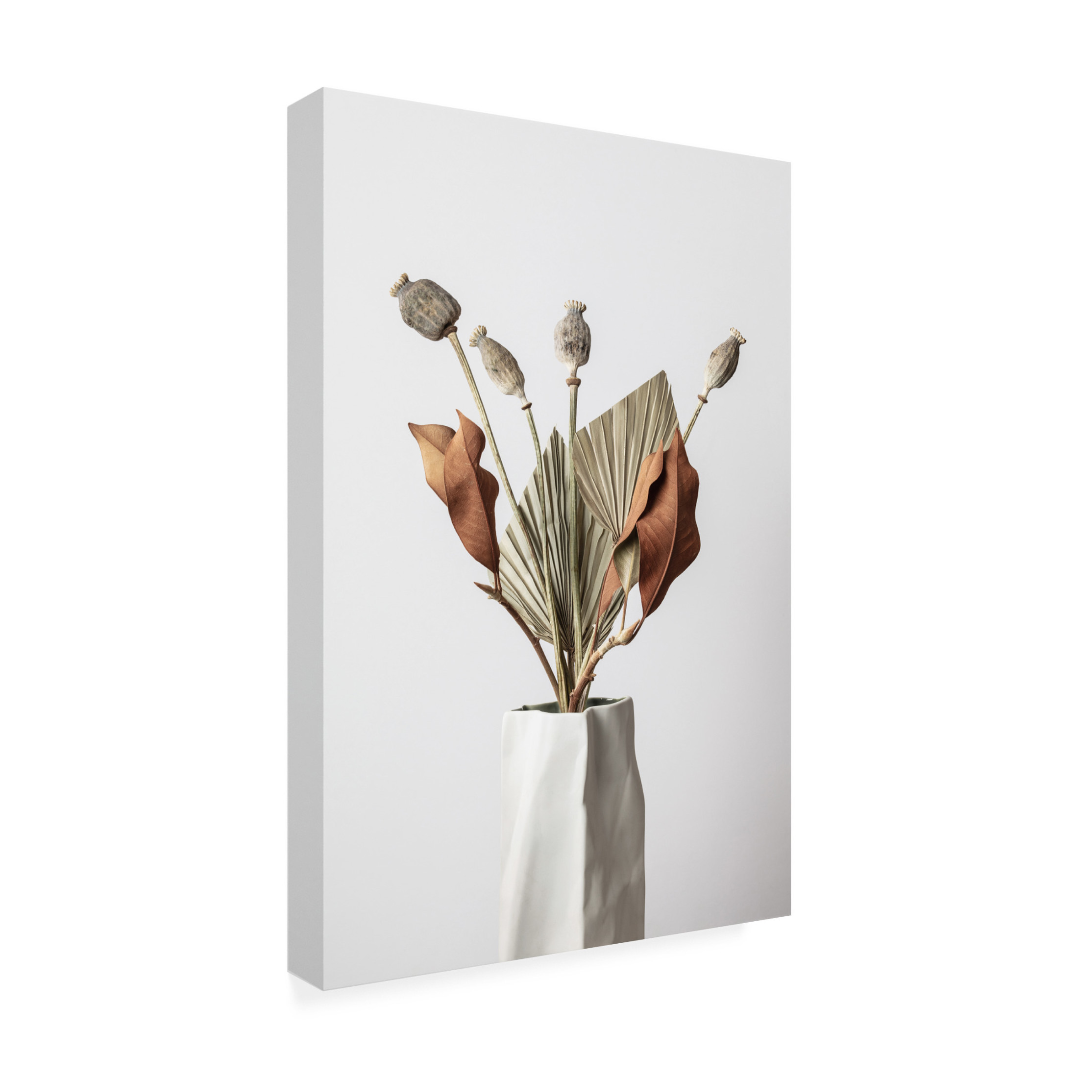 Trademark Fine Art Pictufy Studio Dried Canvas Wall Art