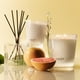 thumbnail image 5 of Vela votiva NEST, aroma a pomelo de Nueva York, 60 ml, Burn 28 h, 5 of 6