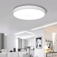 thumbnail image 2 of The New 1pcs Led Ceiling Light, 2 of 3