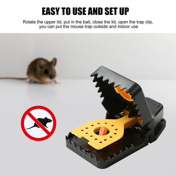 Setting mouse best sale traps outside