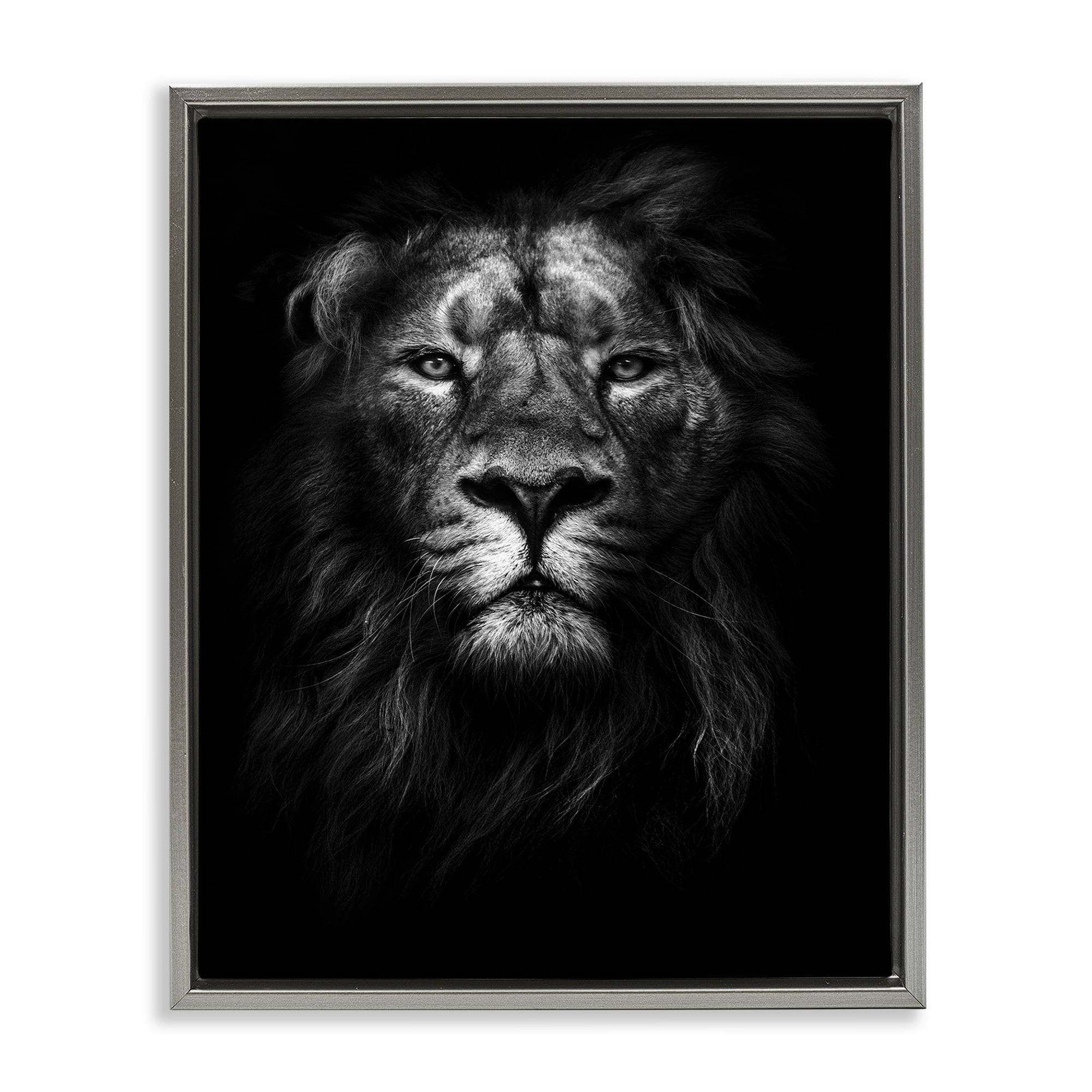 Stupell Industries King of the Jungle Lion In Shadows Black and White Photography Luster Gray Framed Floating Canvas Wall Art, 24x30, by Design Fabrikken
