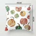 thumbnail image 3 of Fall Pumpkin Throw Pillow Covers 18x18 Set of 2 Boho Orange and Bule Pumpkin Pillows Cases for Sofa Couch Outdoor Farmhouse Cottage Autumn Decorations Decorative Pillows Cases for Home Room Decor, 3 of 4
