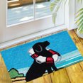 thumbnail image 2 of Jellybean Modern Indoor / Outdoor Mat Home Comfort Rugs 20" X 30" Rectangle Life Saving Lab, 2 of 2