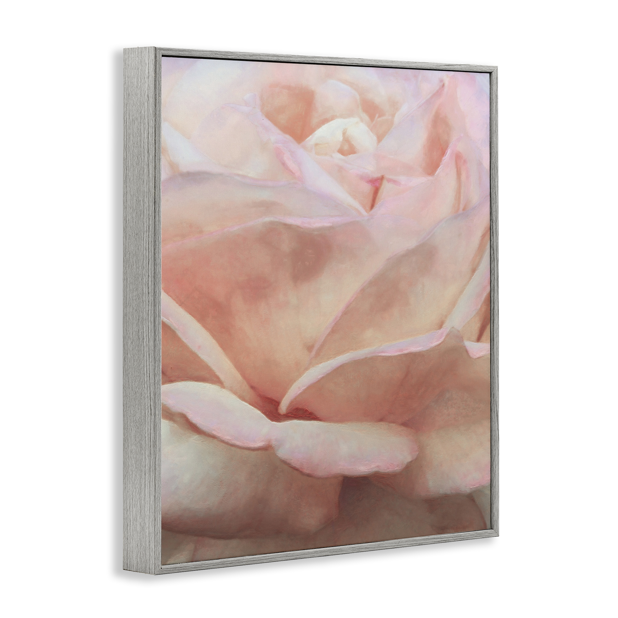 Stupell Industries Soft Rose Petals Botanical & Floral Painting Gray Framed Art Print Wall Art, 11 x 14