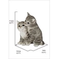 thumbnail image 2 of Hi-Line Gift 8” Snuggling Kitten Garden Statue, Weatherproof, 2 of 2