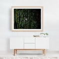 thumbnail image 3 of Growth - Brooklyn New York Photography Nature Forest Woodland Wilderness Botanical Woods Unframed Wall Art Print 24 x 32 inches, 3 of 4