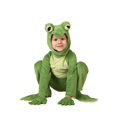 thumbnail image 4 of Déguisement de Luxe Frog pour Tout-Petit, 4 of 4