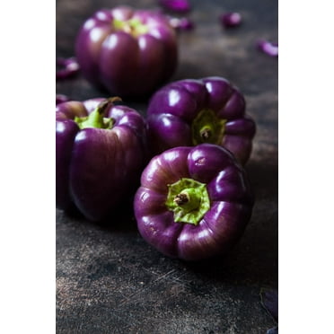 Purple Beauty Pepper Seeds to Plant - 100  Seeds - Versatile Pepper for Eating and Seasoning. Made in USA. Ships from Iowa