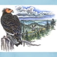 thumbnail image 3 of CafePress - Ash Grey California Condor T Shirt - Women's Classic T-Shirt, 3 of 4
