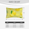 thumbnail image 6 of Balery Bright Lemons Pillow Covers,Bed Pilowcases,Reversible Plush Throw Pillow Covers End Pillow Encasement,Pillow Case - 20"X30", 6 of 9
