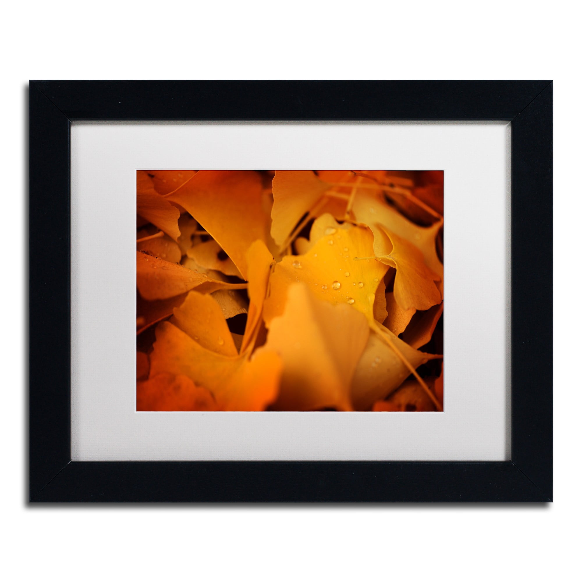 Trademark Fine Art "Divine Pearls" Canvas Art by Philippe Sainte-Laudy White Matte, Black Frame