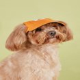 thumbnail image 2 of SNNROO Casquette de Baseball Réglable pour Petits Chiens et Chats Printemps/été, 2 of 7