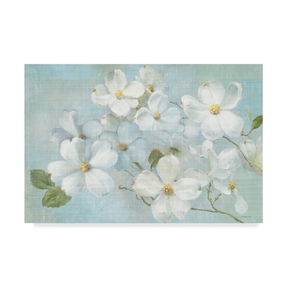 Trademark Fine Art 'Indiness Blossoms Light' Canvas Art by Danhui Nai