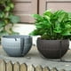 thumbnail image 3 of Billuyoard Maceta colgante con autorriego fácil de mantener, 2 piezas, para el cuidado de plantas, macetas colgantes Jardín y Patio café, 3 of 6