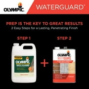 Olympic WaterGuard 5 Gallons Clear Multi-Surface Exterior Waterproofing Sealer